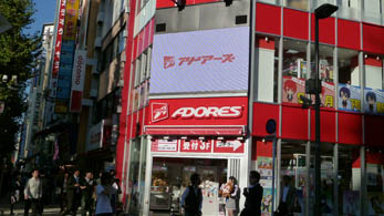 akiba